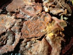 -杨记齐齐哈尔烤肉(五莲路店)