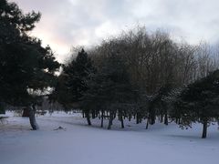 -长春公园(普阳街道)