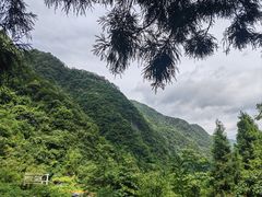 -娄山关景区