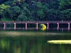 -重庆彩云湖湿地公园