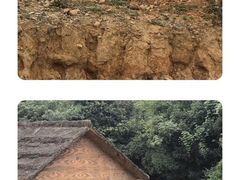 -杭州野生动物世界
