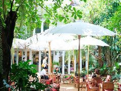 -Fern Forest Cafe