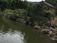 -白马涧龙池景区