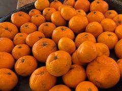 -桔子酒店(上海西藏北路地铁站店)