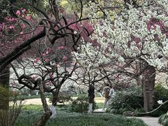 -杭州植物园