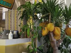 大堂-猫王榴莲世家(三里屯SOHO商场店)