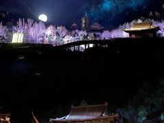 -禅宗少林·音乐大典