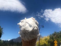 -Patagonia Chocolates(皇后镇店)