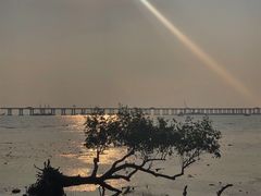 -宝安西湾红树林湿地公园