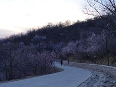 -北京西山国家森林公园