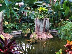 -北京植物园-展览温室