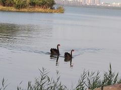 -天津东丽湖风景区