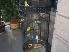 iphone_upload_pic-老味道民宿(栈桥店)