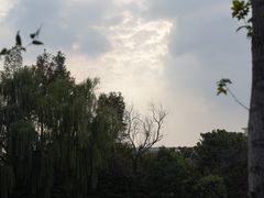 -枫桥景区