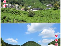 -龙坞茶村