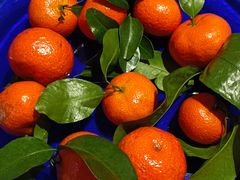 -106餐厅(山水文园店)