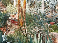 -国家植物园南园