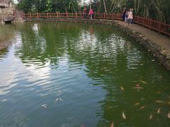 -海南文笔峰盘古文化旅游区