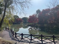 -梁鸿国家湿地公园