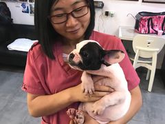 -严国平动物医院(德政总院)