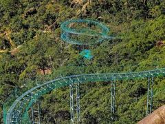 -龙岩梅花山虎园