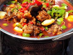 -不炭白烧烤(成都首店)