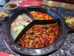 奔驰锅底-蜀大侠火锅(森兰花园城店)