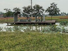 -桤木河湿地公园