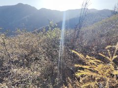 -云顶山风景区