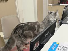 -瑞派康怡24h宠物医院·犬猫医疗中心·微创绝育(瑞景分院)