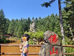 -茅兰沟国家森林公园