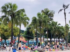 -重庆海昌加勒比海水世界