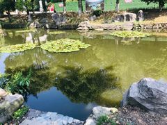 -旺山·浪头人家
