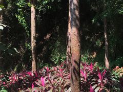 -狐尾山公园