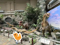 -国家自然博物馆