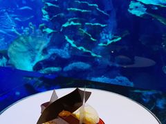 -迪拜帆船酒店海底餐厅