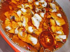 -雲蜀龙阁·金牌水煮鱼(方庄店)