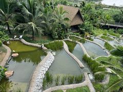 -新加坡飞禽公园
