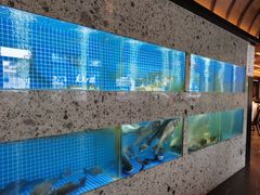 水产区-壹只菜·崇明本地特色菜(崇明南门店)