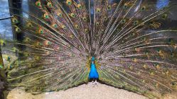 -酷嗒动物文化乐园(cutezoo西溪乐天城店)