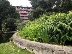 -成都市活水公园