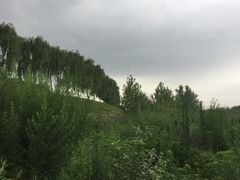 -洨河生态公园