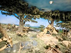 -国家自然博物馆