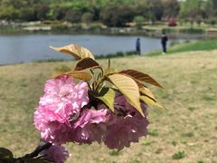 -南山风景名胜区