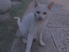 -中国茶叶博物馆(双峰馆区)