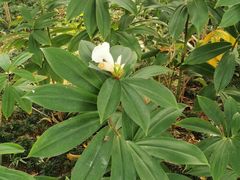 -广州神农草堂中医药博物馆