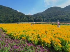 -广州市石门国家森林公园