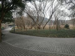 -西湖风景区-江洋畈生态公园