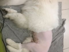 -全心全意动物诊疗中心医院(北苑店)