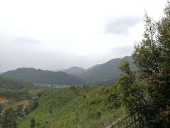 -田心森林公园